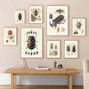 Vintage Beetle Insect Poster Specimen Retro Illustration Wall Art Canvas Painting Posters and Prints Picture for Living Room No Frame