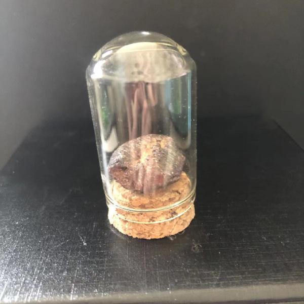 Natural Crystal Rock Mineral Specimens: Educational Gifts for Kids