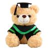 23/28cm Bachelor Bear Plush Toy Soft Bear Animal Doll Doctor Cap Graduation Bear Doll  Party Favors