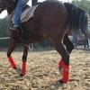 Horse Grooming Of 4 Fleece Leg Wraps Equestrian Supplies - Red