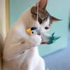 Интерактивная игрушка для кошек «Щебечущие птицы» Моделирование хлопающих крыльев Мягкие птицы Активация касанием Электрическая игрушка для кошек и собак «Летающие птицы»