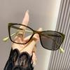 Outdoor Cat Eye Color Changing Eyewear Ultra Light and Trendy Photochromic Myopia Glasses Anti Blue Light Near Sight Glasses