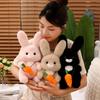 Cartoon Long Hair Carrot Rabbit Plush Doll Pillow Black Brown Pink Rabbit Animal Plush Appease Toy Birthday Gift for Girl