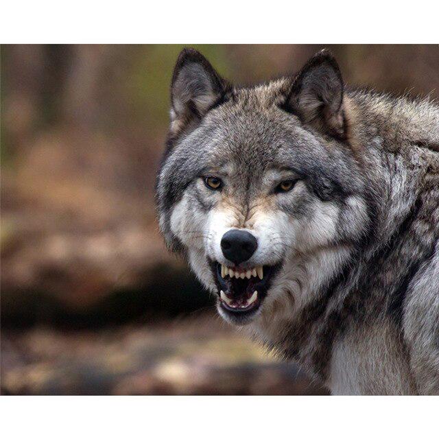 DIY 5D Алмазная картина Волк Животное Мозаика Комплект Вышивка крестом Алмазная вышивка Полный дрель Круглый