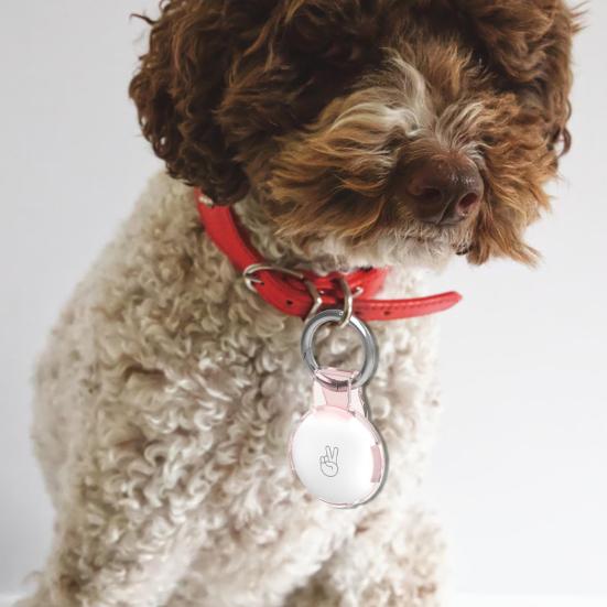 2 шт., прозрачный защитный чехол для держателя AirTag, чехол для трекера с брелоком, зажимом для ремня, портативный