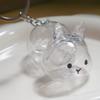 Collector Keyring for Pet Lovers Hair Holder Memorial Storage Box