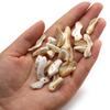 10Pcs/20Pcs Shell Pendant Natural The Mother Of Pearl Irregular Pendant For Jewelry Making DIY Necklace Bracelet Earrings Accessory