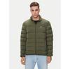 Down Jacket DM0DM18909 Green Regular Fit