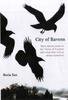 Книга City Of Ravens