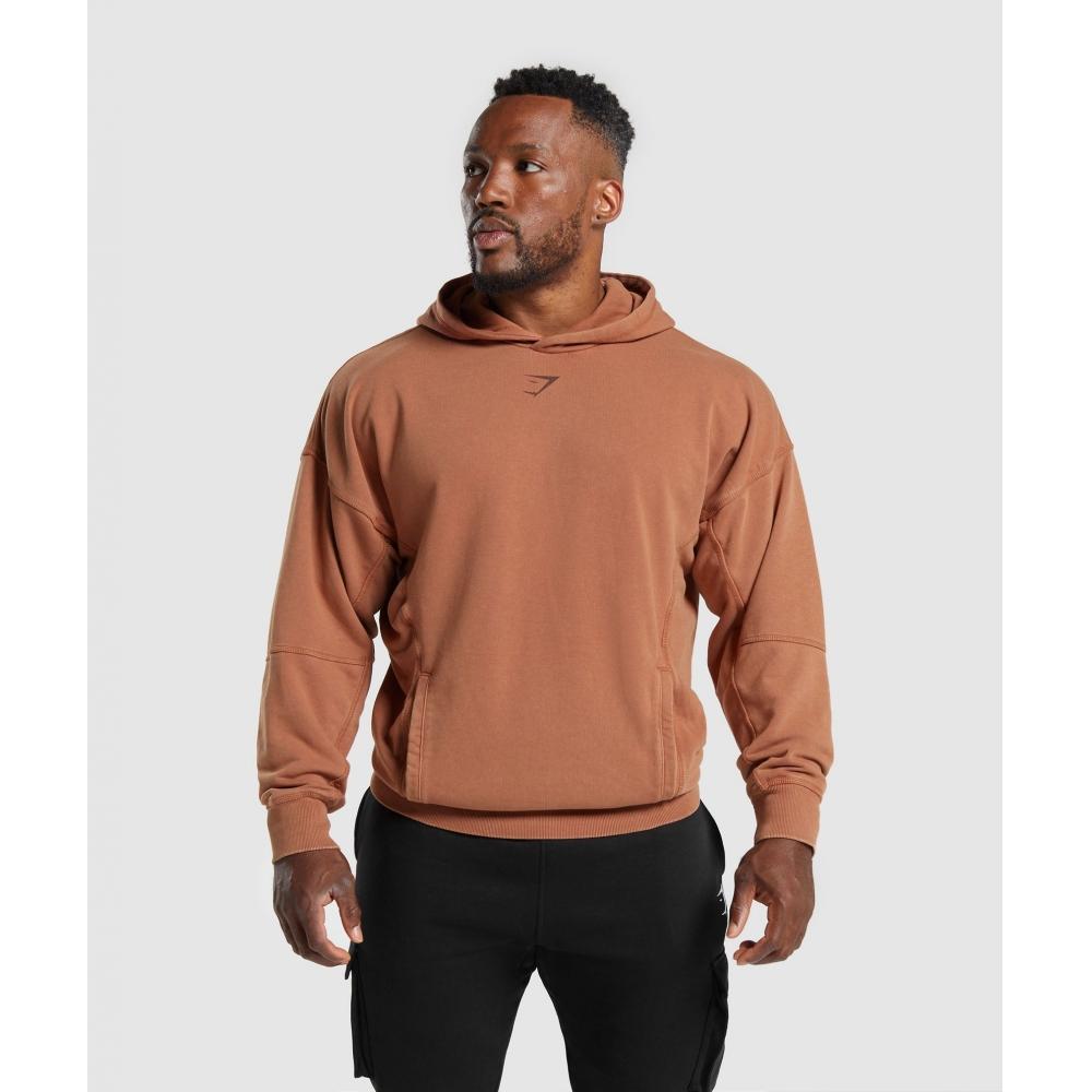 Gymshark Толстовка Heritage Washed Canyon Brown A4a7j Ncc0