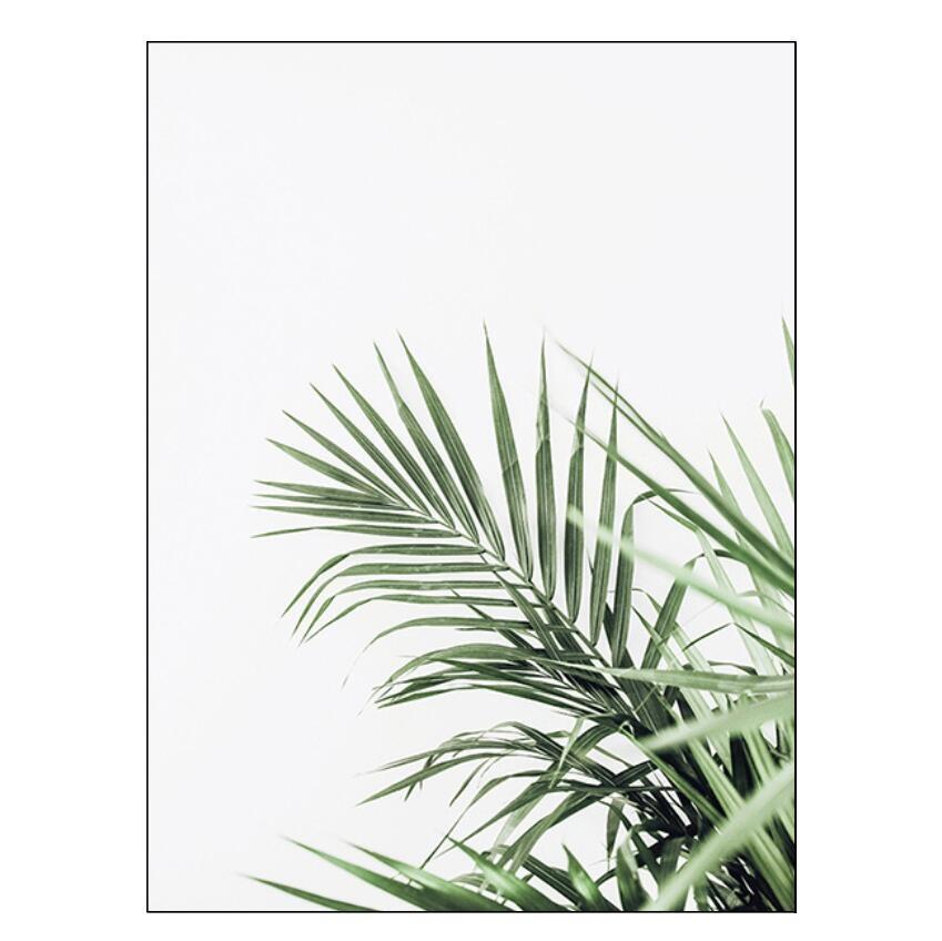 Белый тюльпан, зеленые суккуленты, алоэ монстера, растение, художественный плакат на скандинавскую тему, живопись на холсте и настенные панно для декора гостиной