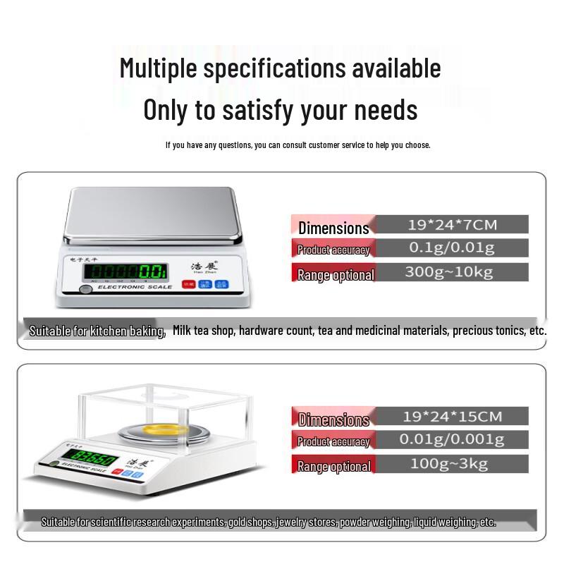 High Precision Digital Laboratory Scale (CN version)