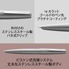 Lamy 2000 Silver Fountain Pen Elegant Fountain Pen with Velvety Matte Finish and Stainless Steel Body 14K Gold Nib Platinum Nib Size EF - - (partially