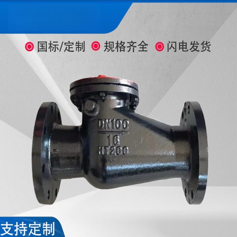 DN80 Cast Iron Swing Check Valve with Copper Core