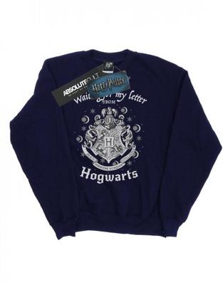 Мужская толстовка Hogwarts Waiting For My Letter