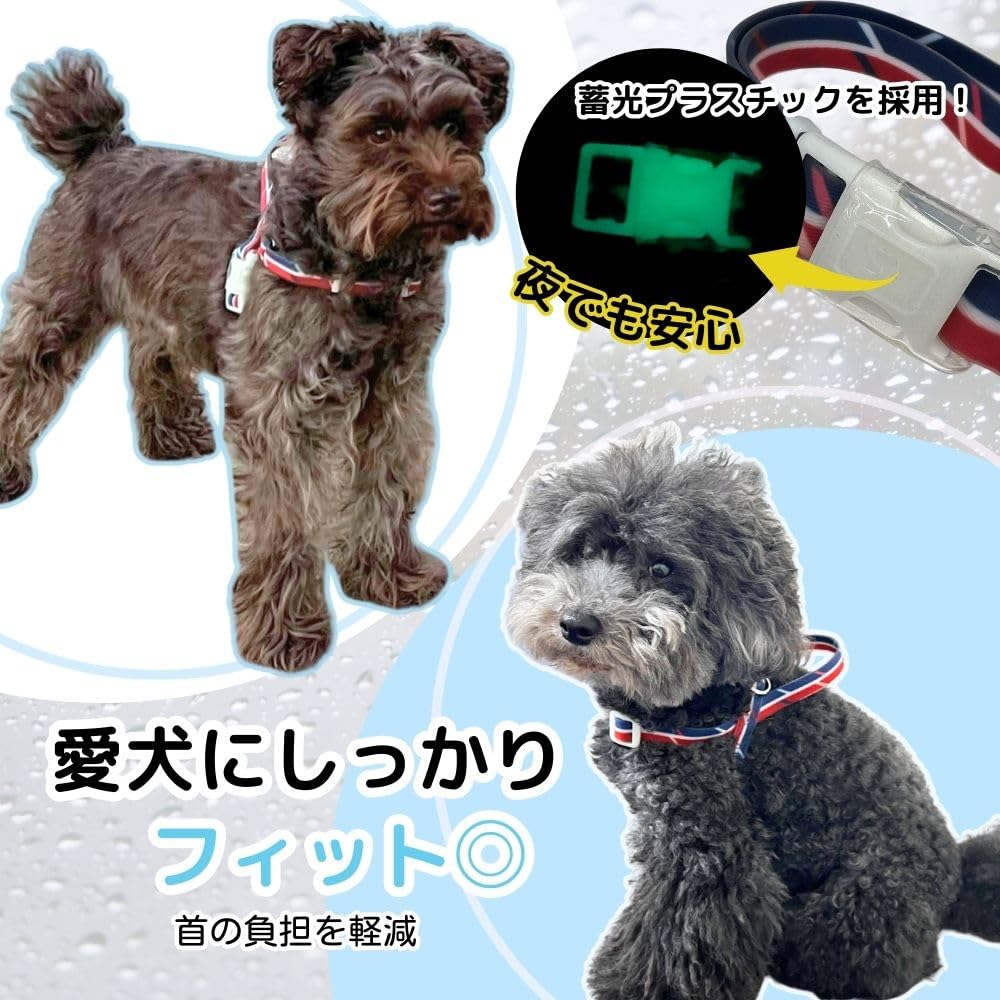 Handler Rainy Shoulder Size Red and for Very Small Dogs and and Easy To Put On and Take with Handle for and Ease of Easy To Red and Harness, 2S, Navy,