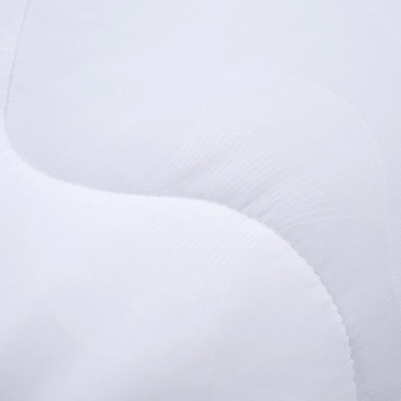 Mercury Home Textiles Dusang All-Season Fiber Quilt