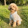 Thin Breathable Dog Sunscreen Clothes Butterfly Pattern Dog Cooling Jumpsuit  Summer Season