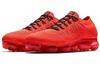 Nike Air VaporMax Clot Яркий Багровый AA2241-006