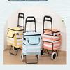 Lightweight Foldable Shopping Cart with Ice Pack for Outdoor and Supermarket Use