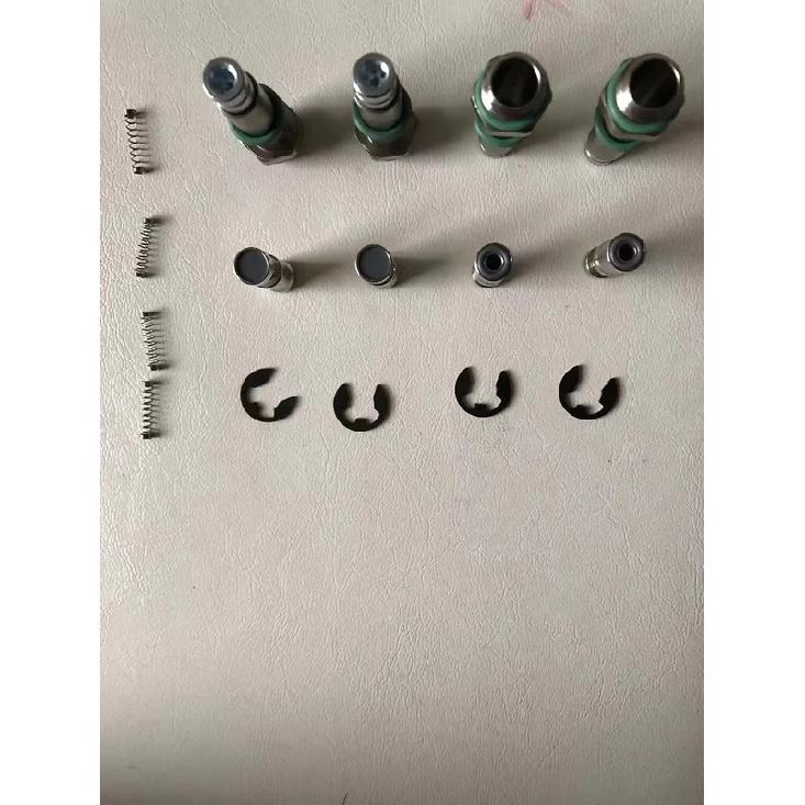 Auto Parts CNG Rail Injectors Nozzle Fuel Injector Repair Kits LPG Common Injector Rail Repair Parts