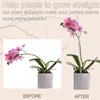 30Pieces Orchids Support Stem Plant Stakes Encourage Vertical Growth Stable And Flexible Support For Indoor Outdoor Use