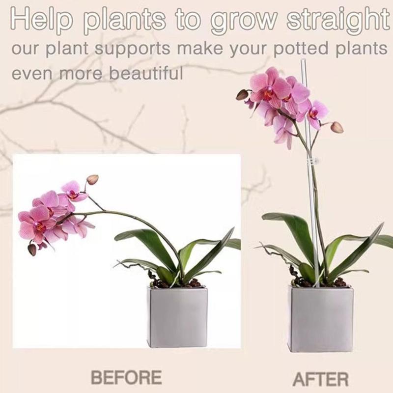 30Pieces Orchids Support Stem Plant Stakes Encourage Vertical Growth Stable And Flexible Support For Indoor Outdoor Use