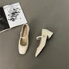 Fashion Thick Heel Mary Jane Single Shoes Women's New Spring French Mid Heel Evening Black Square Head Small Leather Shoes