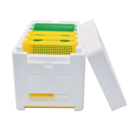 Queen Bee Mating Box Foam Queen Rearing Box Breeding Rearing Copulation Accessory Beekeeping Equipment for Beehive Bee Breeding