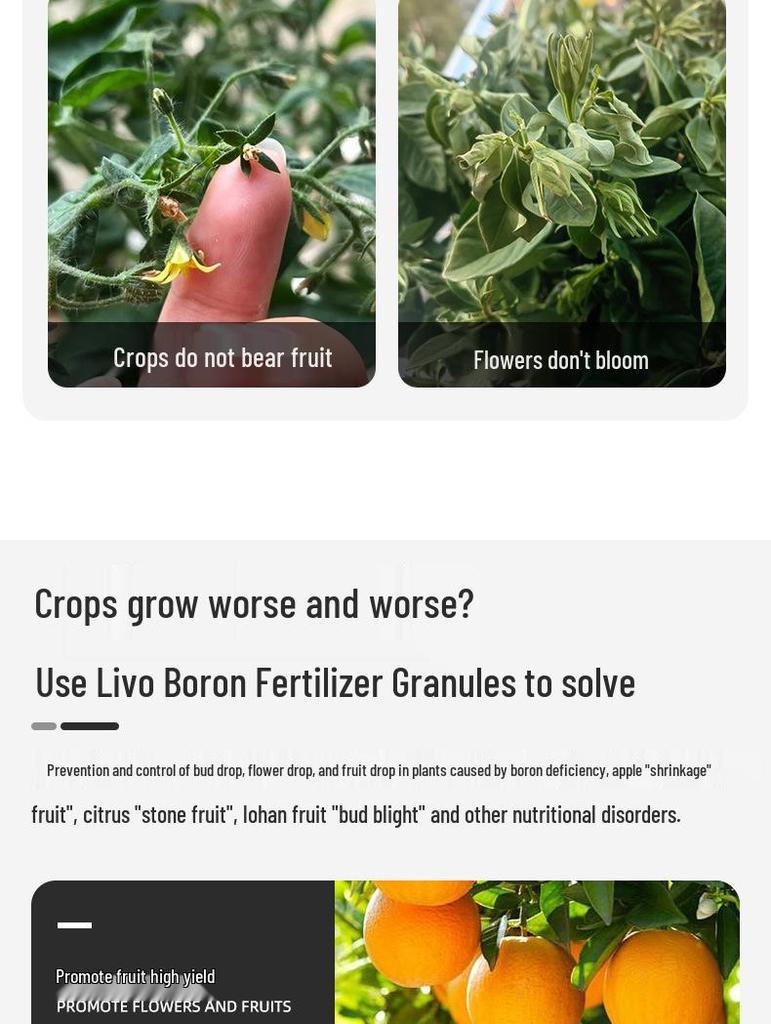 Boron-Enriched Granular Fertilizer: Boosts Flowering & Fruit Set for Trees, Slow-Release & Water-Soluble, Ideal for Vegetables, Melons, and Fruits