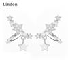 Lindon Copper Alloy Zircon Earrings Drop Earrings For Women Wedding Party Gifts