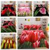 3D Flower Bedding Set Tulip Quilt Cover Pillowcase Double Bed Full Size Bedspread Set Washable Zipper Comfortable Home Decoration