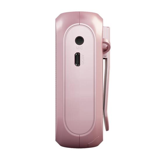 Портативный беспроводной усилитель голоса для учителей, совещаний, экскурсоводов, перезаряжаемая PA-система, динамик, персональный усилитель, мегафон с клипсой для крепления сзади