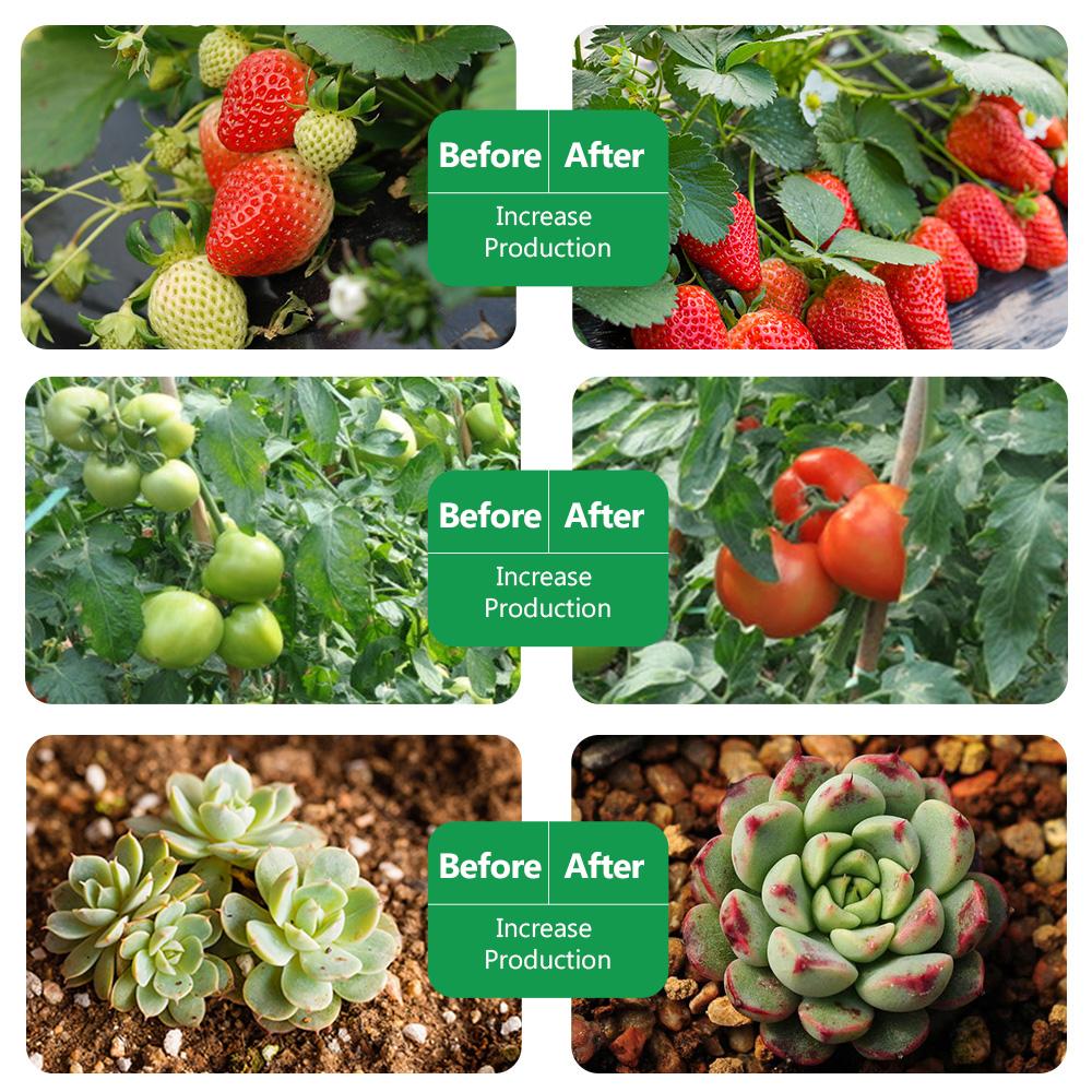 Фитолампа полного спектра USB 5 В светодиодная лента для выращивания растений 2835 SMD растение цветок светодиодная комнатная теплица семена Cultivo гидропоника