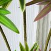 Large Artificial Plants Branch Real Touch Green Plants Fake Bamboo Leaves  Birthday Party Decor