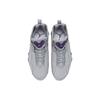 Air Jordan True Flight 'Серый Волк Фиолетовый' 342964-051