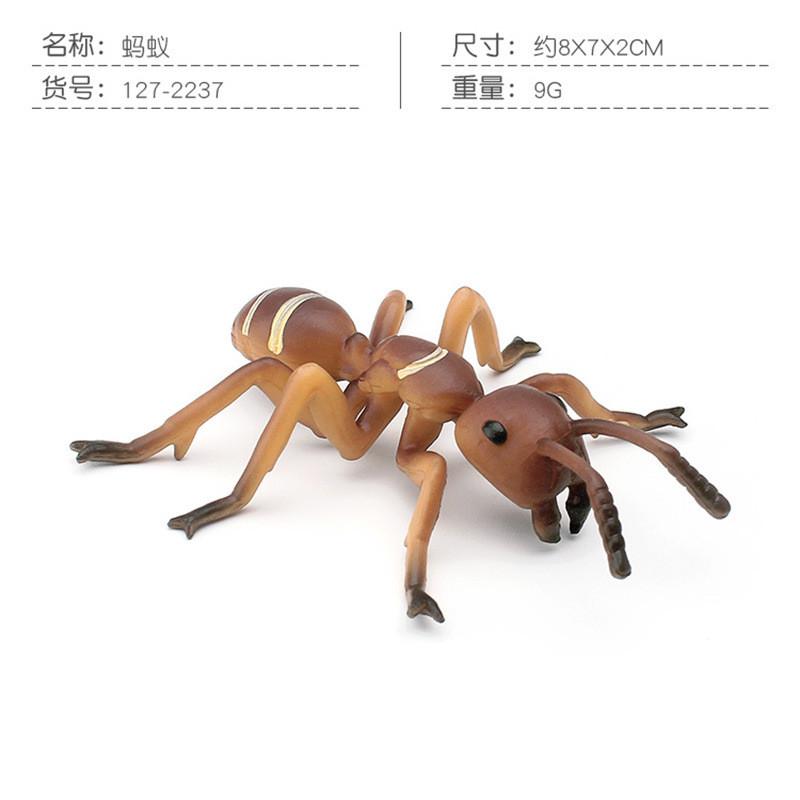 Insect Unique Pvc Models Featuring Butterflies Beetles Spiders Ants And Roaches Great For Collectors Educational Use And Gifts