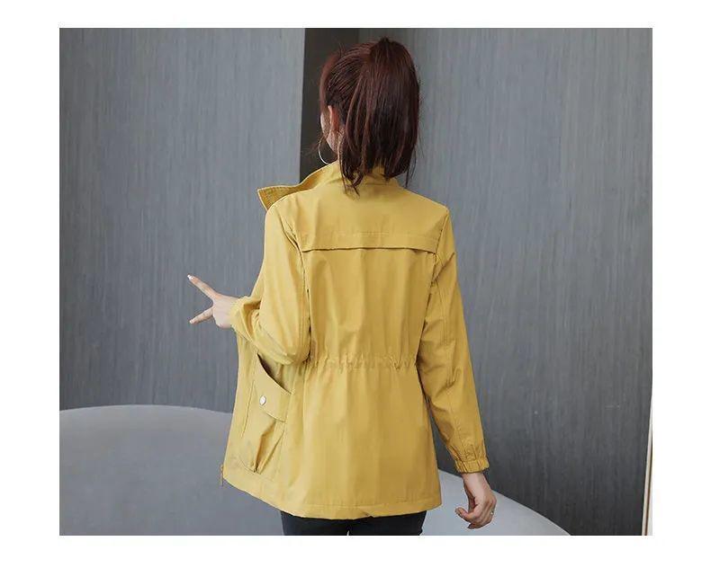 Women's Slimming Trench Coat with Stand Collar - 2024 Spring/Autumn Fashion