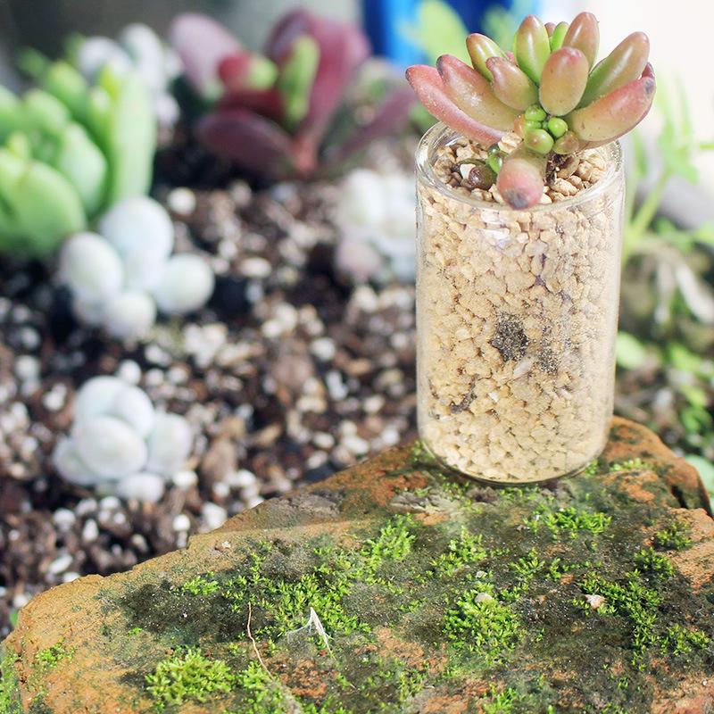 Маленькая стеклянная бутылочка с гравием из вулканической породы и морскими ракушками, 20 мл/50 мл, 30*40 мм