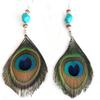 Peacock Feather Turquoise Earrings For Women