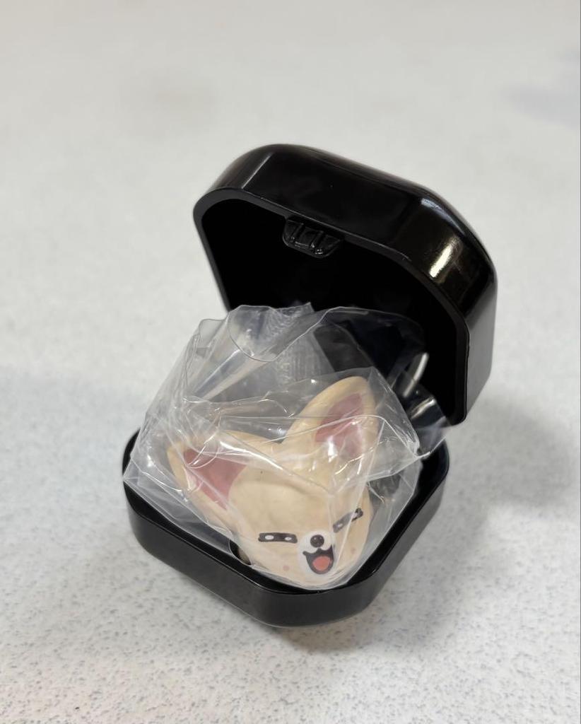 [Б/У] Набор из 4 колец Stray Kids SKZOO Pukutto