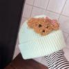 Корейская осенне-зимняя вязаная шапка Милая шапка из шерсти с плюшевым щенком для женщин Универсальная теплая и приятная к лицу шапка с маленькими ушками для защиты ушей Шапка-пуловер