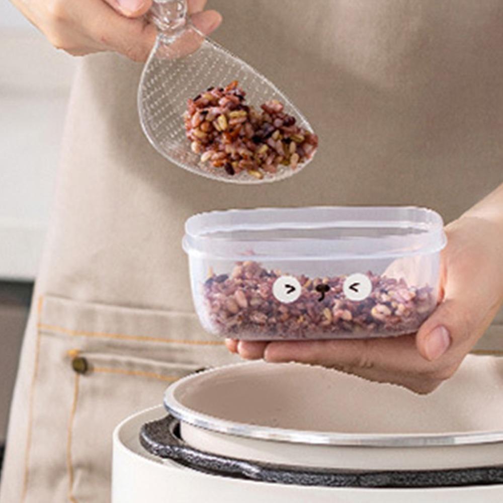 3PCS PE/PP Fruit Storage Containers Airtight Lid Berry Keeper Containers Fridge Organization