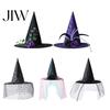 Retro Style Costume Hat Halloween Star Witch Hat, Mesh Veil Rose Feather Cone for Women, Gothic Party Headwear, Adult Cosplay Accessory Mysterious