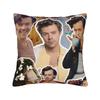 Harrys Styles Singer Pillowcase Soft Polyester Cushion Cover Decorations  Pillow Case Cover Seater Zippered cm
