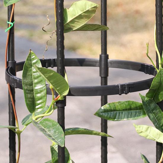 Металлическая решетка для растений, садовый обелиск, решетка для вьющихся растений, опорная рама, простая сборка, вертикальная решетка для вьющихся растений и цветов, дворовое искусство