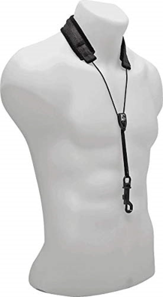 BG Saxophone Nylon Strap Regular Snap Hook S80SH