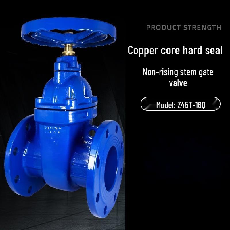 Yunduo DN250 Heavy-Duty Hard Seal Gate Valve