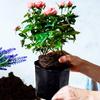 100PCS Plant Growth Bag Eco-Friendly Flower Planting