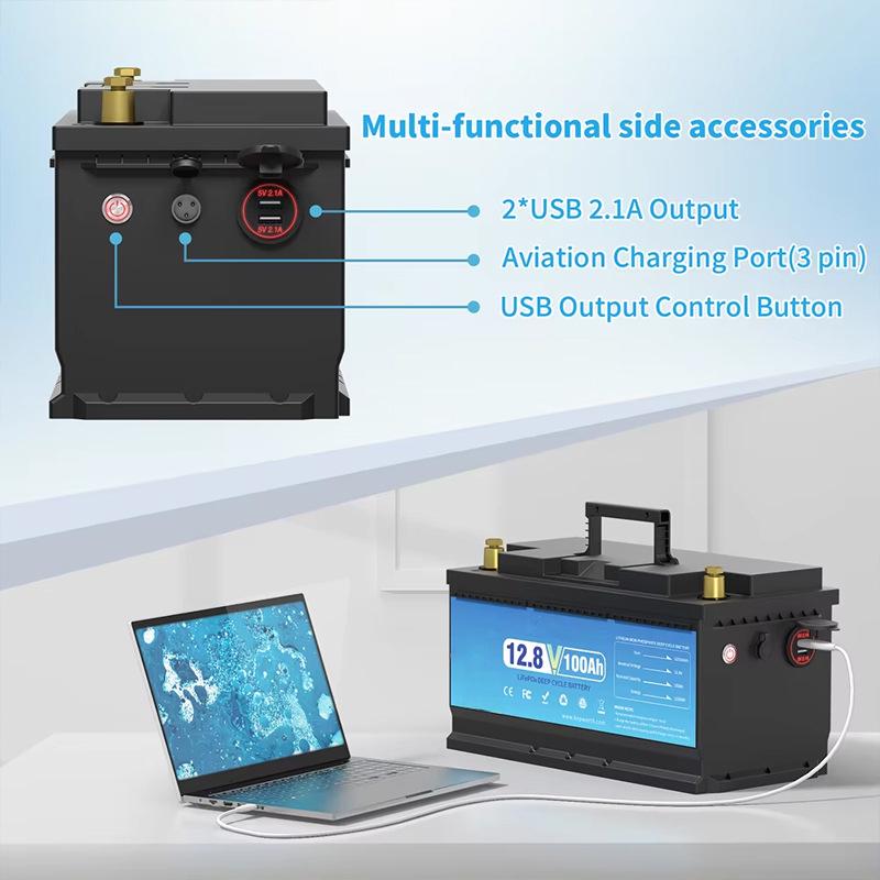 Литий-железо-фосфатная батарея 12 В 100 Ач для промышленного АГВ, дома на колесах, экскурсионного автомобиля, фотоэлектрического накопителя энергии